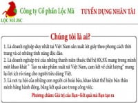 Công ty cổ phần Lộc Mã tuyển dụng