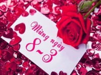 Hanoi-Aptech gửi những lời chúc mừng tốt đẹp nhất đến một nửa yêu thương của thế giới