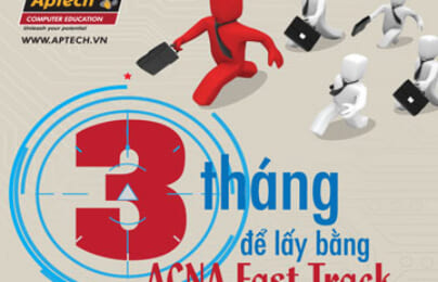 Hanoi-Aptech: Tiếp sức IT thời khủng hoảng