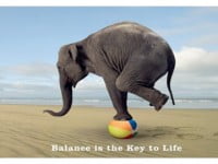 Kỹ năng viết blog: duy trì blog dựa trên nguyên lý cân bằng