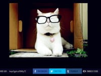 Status biểu cảm với dịch vụ ảnh động cho Facebook