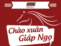 Học lập trình, rinh ngay quà khủng chào xuân cùng Hanoi – Aptech