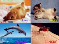 Facebook và chiến dịch “3 mục tiêu” dẹp sạch nạn câu like