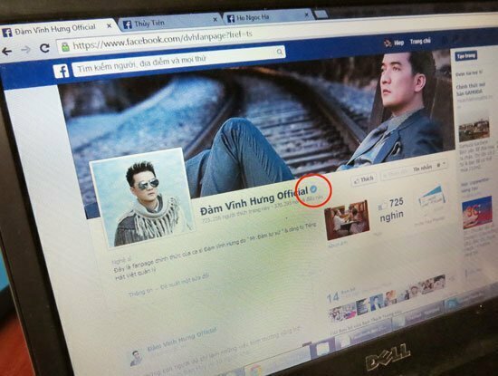 Facebook dành kí hiệu riêng cho trang cá nhân của Sao Việt-1