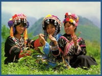 Hanoi–Aptech tổ chức du lịch phượt Văn Chấn – Tú Lệ