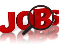 SDIC tuyển lập trình viên ASP. NET