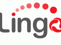 LINGO tuyển dụng Lập Trình Viên.Net và Lập Trình Viên.Java