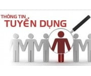 SNS Group tuyển PHP Developer