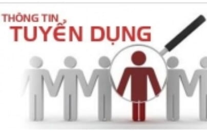 Công ty VLA JSC cần tuyển Lập Trình Viên .NET
