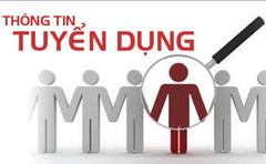 WILLBESOLUTION TUYỂN DỤNG TECH-LEADER