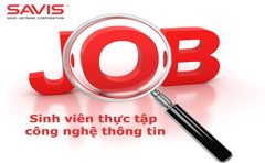 Savis Vietnam tuyển sinh viên thực tập công nghệ thông tin