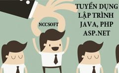 NCCSOFT TUYỂN JAVA, PHP, ASP.NET FRESHERS