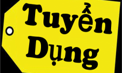 TUYỂN LẬP TRÌNH VIÊN VÀ TEAM LEADER TẠI TRUNG TÂM ANH NGỮ YES KIDS