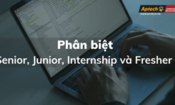 Phân Biệt Senior, Junior, Internship Và Fresher Trong Doanh Nghiệp