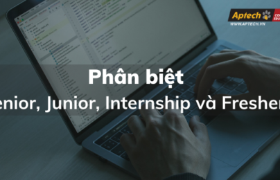 Phân Biệt Senior, Junior, Internship Và Fresher Trong Doanh Nghiệp